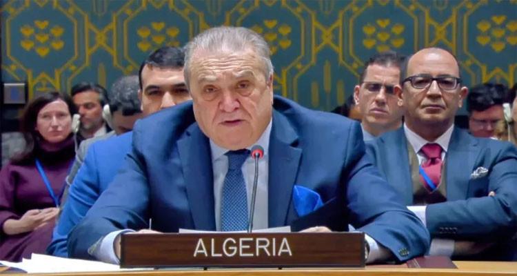 الجزائر ترفض بصفة قطعية أيّة محاولات لتقسيم سوريا أو ضم جزء من أراضيها