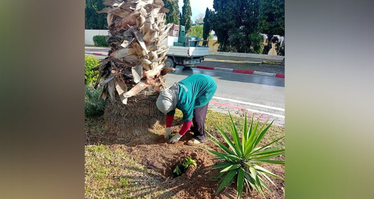 لما تمثله من أهمية: بلدية الحمامات تواصل جهودها للإعتناء بالمساحات الخضراء