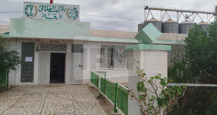 وزير الفلاحة من القيروان: سنسوي وضعية العملة العرضيين المتعاقدين