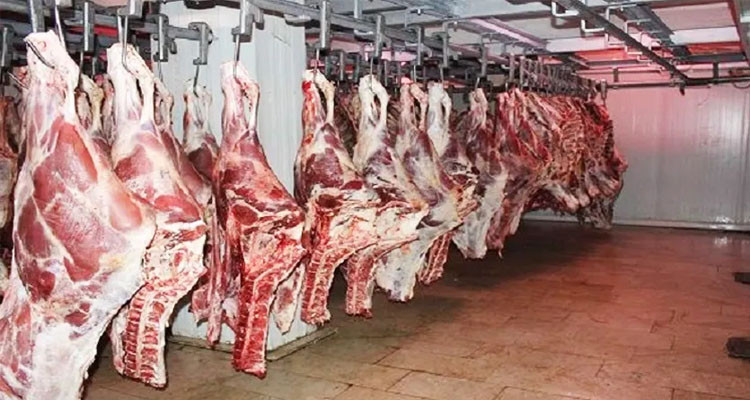 اليوم تونس تستقبل أول حاوية من اللحوم الحمراء الموردة