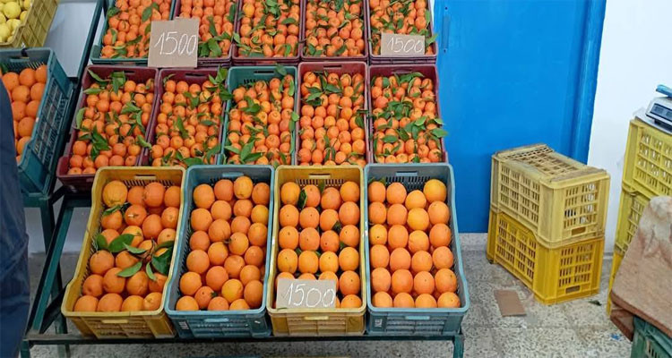 بنزرت: افتتاح نقطة بيع من المنتج للمستهلك بماطر