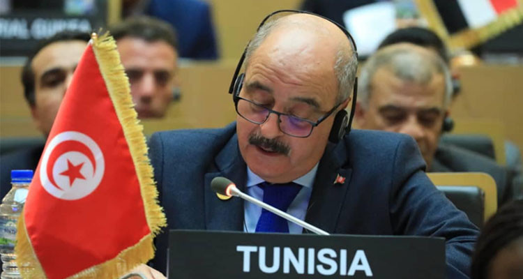 تونس تقدم رؤيتها حول التعاطي مع هذه التحدّيات أمام القارة الافريقية