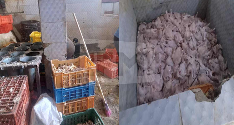 حجز أكثر من 5 أطنان من لحوم الدواجن غير الصالحة للاستهلاك في نابل