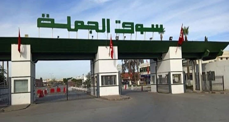 سوق الجملة: دخول كميات هامة من مادة الفراولة ووزير التجارة يعاين الأسعار ونسق التزود