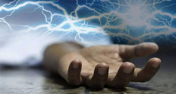 قبلي: تعرض طفل لصعقة كهربائية بسبب حمامة