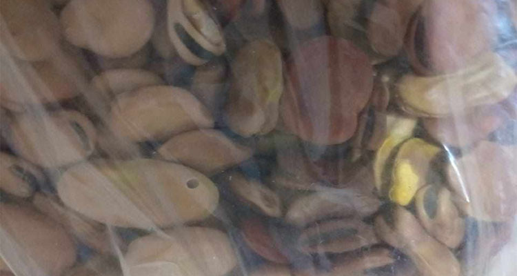 توزر: الفول يوم العيد أقدم عادات أهل الجريد