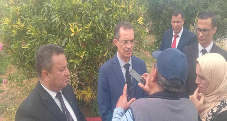 وزير الفلاحة من جربة: ظاهرة الجراد الصحراوي تحت السيطرة
