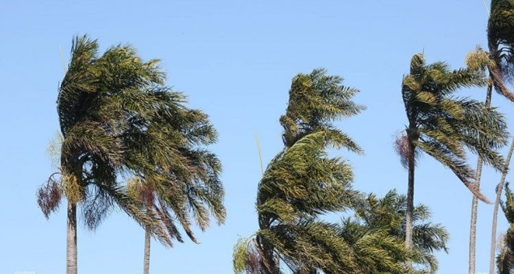 بعض الأمطار ورياح قوية في هذه الجهات اليوم