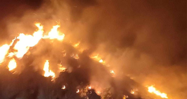 باجة: حريق بضيعة فلاحية يأتي على 4 آلاف حزمة من التبن