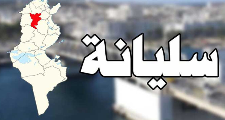 البرد يضر بالمحاصيل الزراعية جنوب سليانة