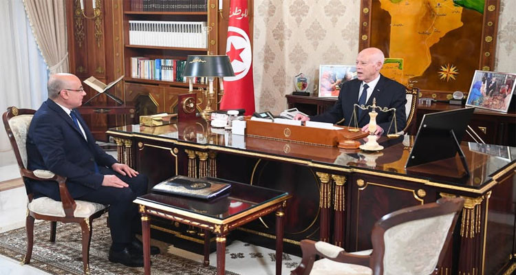 سعيد يؤكد مجددا: تونس لن تكون معبرا أو مقرا للمهاجرين غير النظاميين