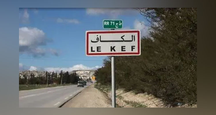 الكاف: وفاة عاملة فلاحية وإصابة 27 أخريات في انقلاب شاحنة تقلهم