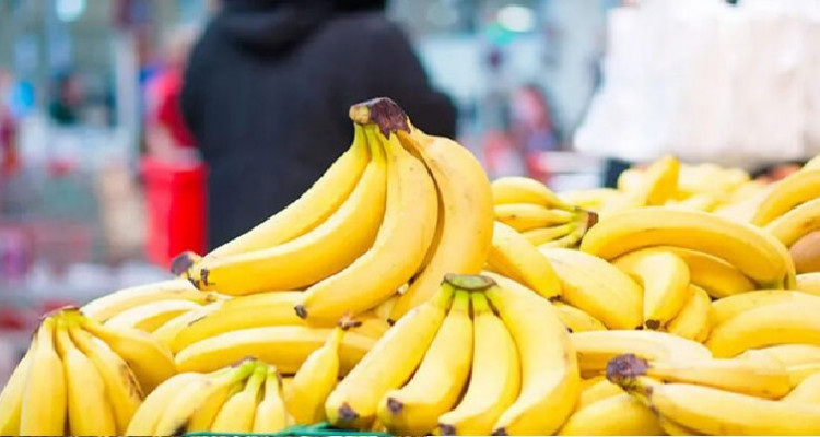 نابل: حجز كمية من الموز المورّد بقيمة 450 ألف دينار خارج المسالك القانونية