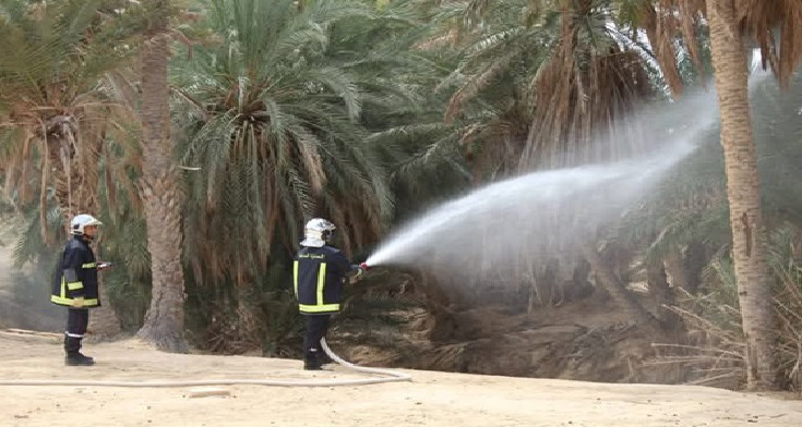 توزر تستعد لمواجهة حرائق الواحات خلال فصل الصيف