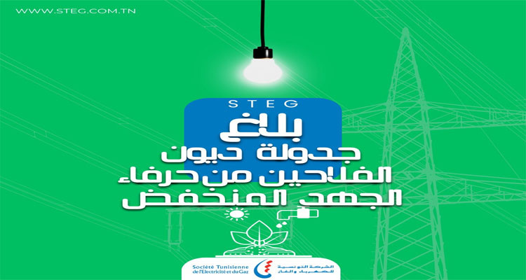الشركة التونسية للكهرباء والغاز تشرع في جدولة ديون الفلاحين من حرفاء الجهد المنخفض
