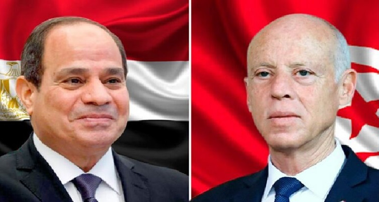 سعيد يتبادل تهاني العيد مع السيسي