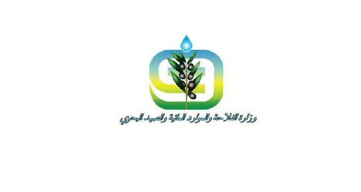 نفوق عدد من الأسماك في سواحل المنستير: وزارة الفلاحة تحذر البحارة والمتساكنين