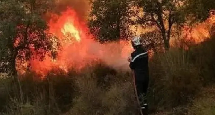 باجة: النيران تشتعل مجددا في مزارع الحبوب بالمركب الفلاحي بتيبار