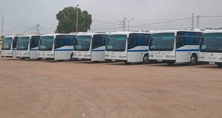 شركة النقل بالقصرين توفر سفرات خاصة لفائدة المترشحين لإجراء مناظرة بتونس