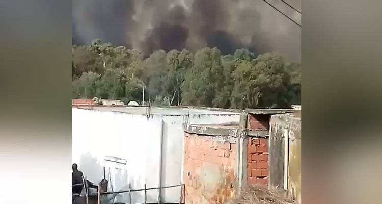 حريق هائل يأتي على مساحة شاسعة من الأشجار الغابية بسجنان