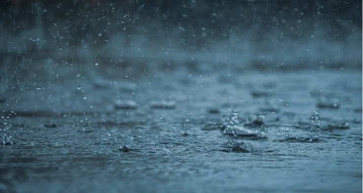 أمطار أحيانا غزيرة مع رياح قوية في هذه الولايات الليلة