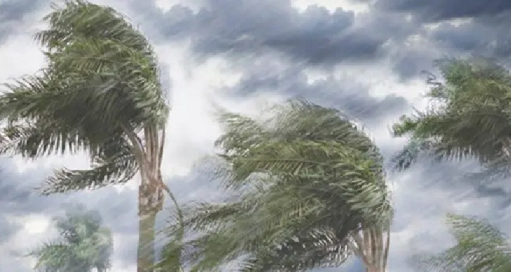 أمطار غزيرة وصواعق ورياح قوية في هذه الولايات اليوم