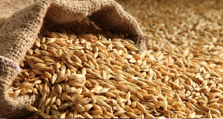 مراجعة اسعار الحبوب بباجة: آجال الإعتراضات مفتوحة إلى غاية هذا التاريخ
