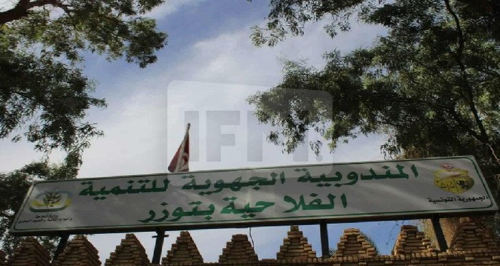 متابعة مشاريع مندوبية الفلاحة محور جلسة عمل بولاية توزر
