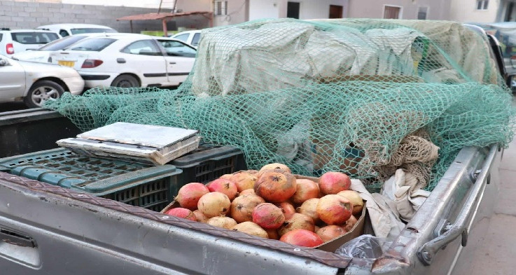 كانت تبيع الرمان: حجز سيارات تونسية بمدينة صبراتة الليبية