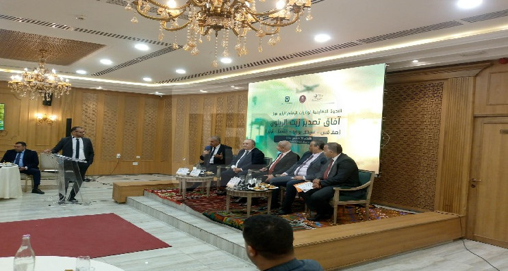 والي صفاقس: صفر% هي نسبة سرقة الزيتون هذا الموسم