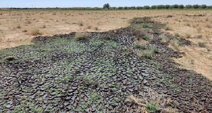 سليانة: فتح تحقيق حول إلقاء المرجين بالأودية