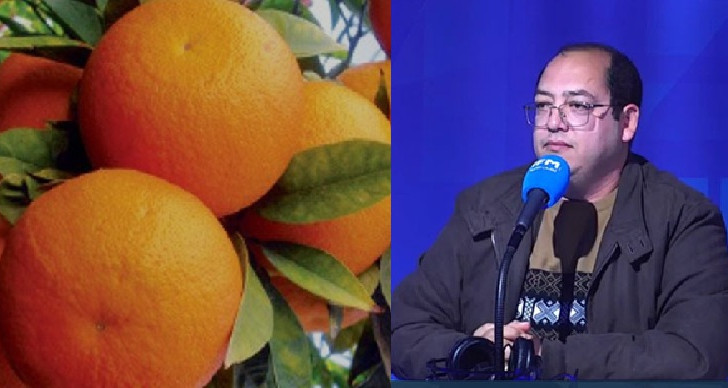 انطلاق تصدير القوارص نحو فرنسا: هذا موعد أول شحنة وكميات متوقعة بين 200 و220 طنا