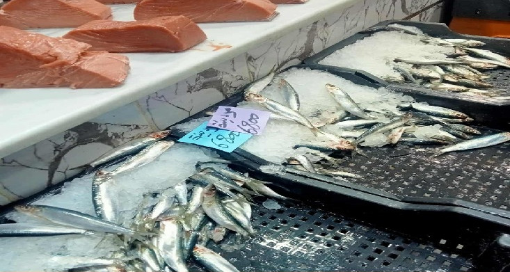 سيدي بوزيد: مخالفات صحية واقتصادية بمحلات بيع الأسماك