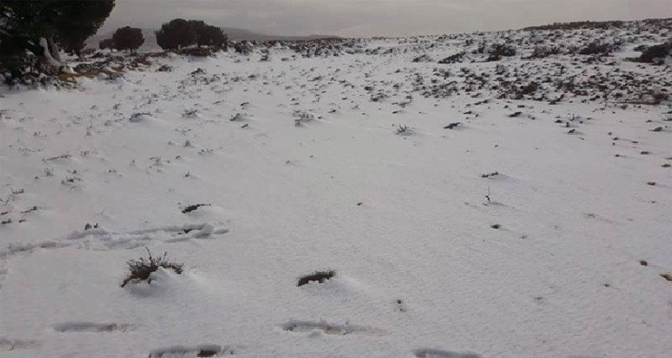 ثلوج وأمطار بداية من الليلة