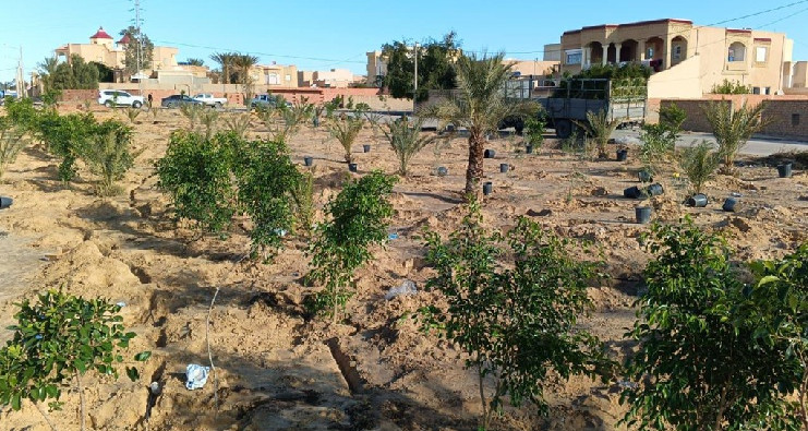 مشاريع وزارة البيئة في توزر: الوالي يوصي بالقيام بالأشغال المبرمجة في أقرب الآجال