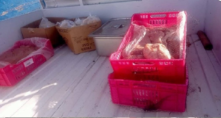 سوسة: حجز أكثر من 200 كغ من لحوم الدواجن غير صالحة للاستهلاك