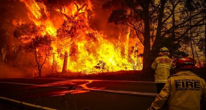 نتيجة موجة حر شديدة: حرائق غابات تجتاح جنوب شرق أستراليا