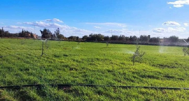 نقابة الفلاحين ببنزرت تحذر من نقص مادة الأمونيتر