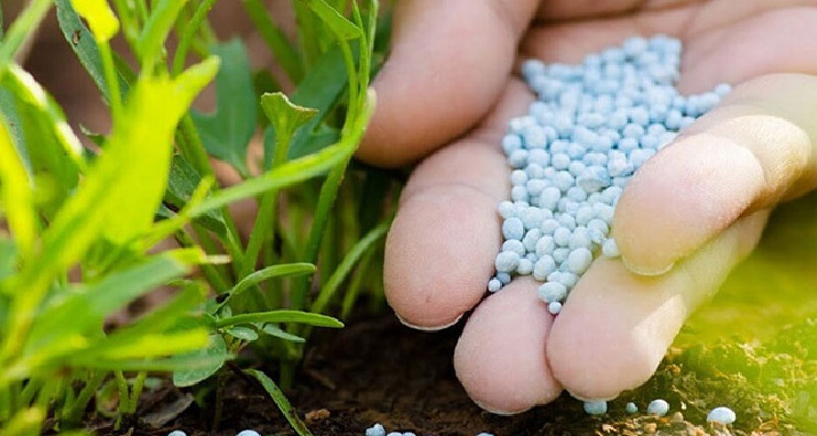 فلاحو سليانة يطالبون بتوفير مادة الأمونيتر