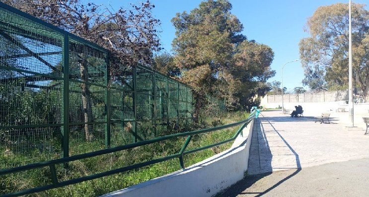 حديقة البلفيدير: فضاء جديد للأسود وتوسعة فضاءات القردة