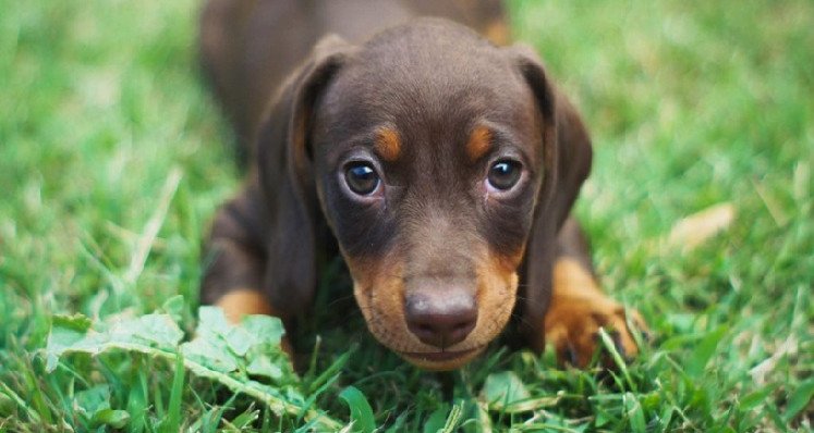 طبلبة: الإطاحة بالمتورطين في ق/ت/ل "الجرو" بالمكنين