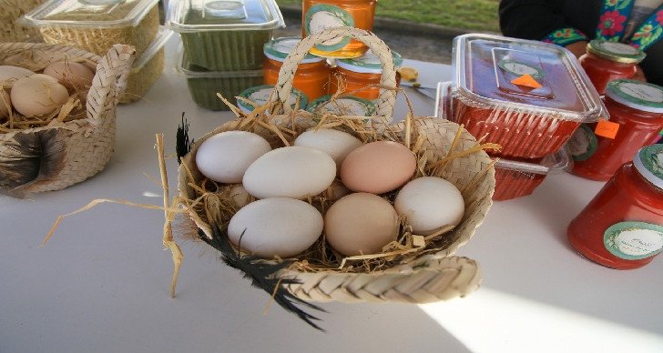 سوسة: إحداث نقطة بيع من المنتج إلى المستهلك بمناسبة شهر رمضان