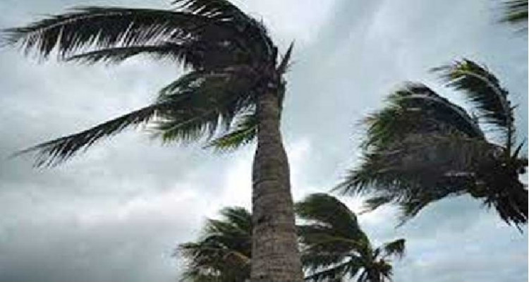 سرعة الرياح تصل إلى 100 كلم/س اليوم مع تواصل نزول الأمطار