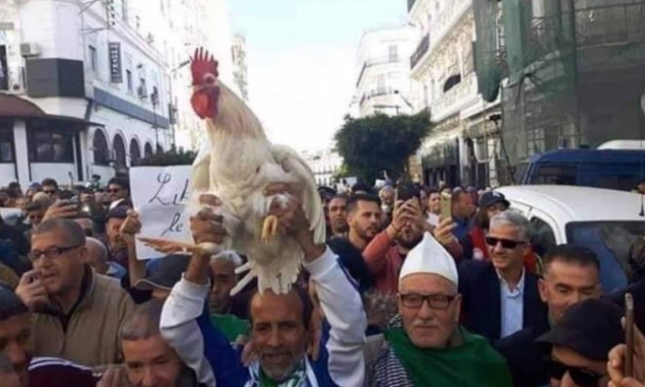 فرح شعبي في الجزائر باطلاق سراح ديك