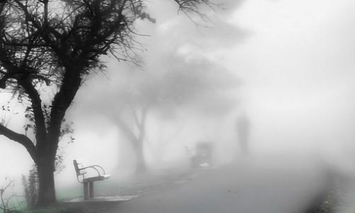 ضباب كثيف يحجب الرؤية بهذه الطريق السيارة
