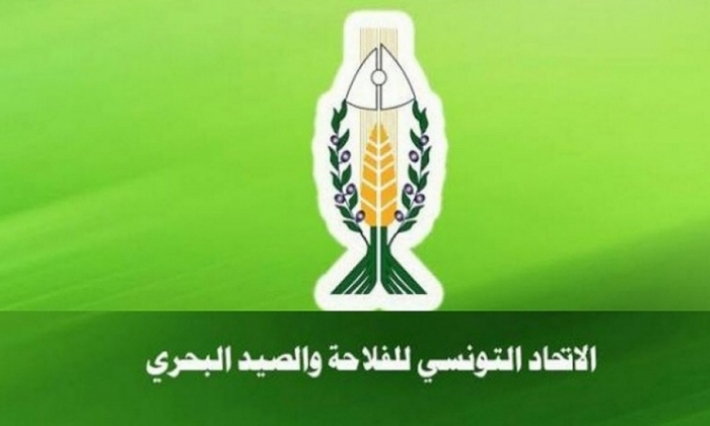 اتحاد الفلاحة: المنتوجات الفلاحية متوفرة بما يغطي حاجيات المواطنين