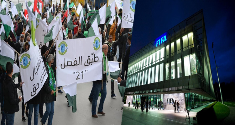 هلال الشابة الفيفا