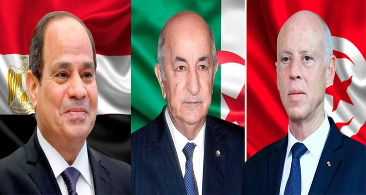 قيس سعيد عبد المجيد تبون عبد الفتاح السيسي