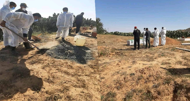 بلدية الأسودة