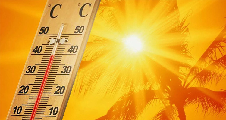 حالة الطقس : الحرارة مرتفعة